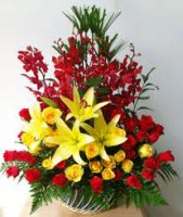 Nhân sự mới các cơ quan, địa phương tháng 6 năm 2019
